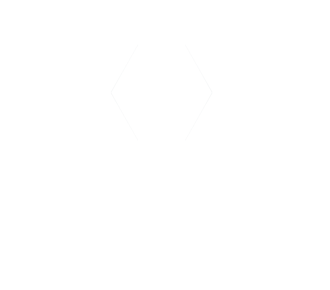 logo hubus